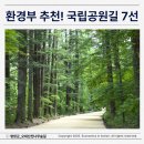 북한산 소나무의 짙은 솔향기를 맡으며 | 환경부 추천! 가족과 함께 국립공원길, 태백산·오대산·내소사 등 7선