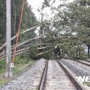 [국도3] 충주시 만정리 이미지