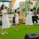 완도 청춘이네