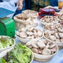 사회적협동조합 인천부평남부지역자활센터 이미지