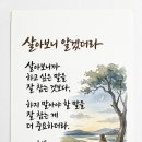 山川에서 Daum카페