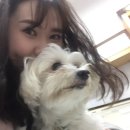 송담동물병원 이미지