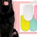 아이러브강아지 이미지