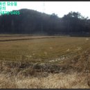 일반성면-1 이미지