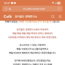 모카골드경제연구소