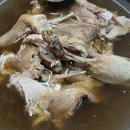 천둥옻오리 이미지