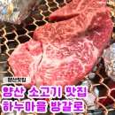 하누마을 | 양산 방갈로가 있는 소고기 맛집 '하누마을 방갈로' 투쁠 채끝등심 후기♥