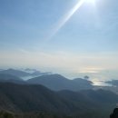 주석농장 이미지