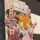 어리숙회 | [논현 맛집] 입안 가득 퍼지는 바다의 축제! '어리숙회' 오마카세 리얼 후기