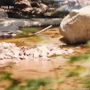 한양밥상 이미지