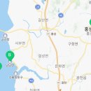벨리노101