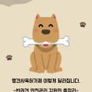 도윤축산 네이버블로그