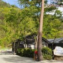 법수치오토캠핑장 이미지