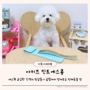 사람사이-콤 | 비숑 빗질을 위한 반려동물콤 아키즈 에스콤 사용 후기