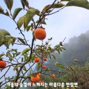 범어2동커뮤니티센터 이미지