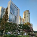 코리안좀비 종합격투기&휘트니스 이미지