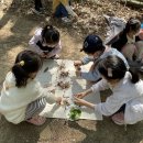 마중생태 이미지