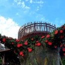 남망산 디지털파크 이미지