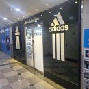 강일체육관 이미지