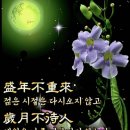 연세스타일치과의원 네이버블로그