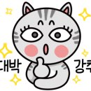 디미아뷰티 이미지