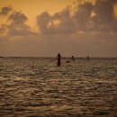 금빛바다 이미지