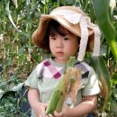 해나농장 이미지