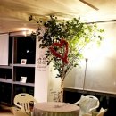 그림카페 이미지