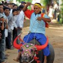 캄보디아 명절 프쭘번 기념 "물소타기 경주" 열려 (AFP 2010-10-8) 이미지