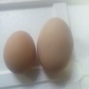 해보농장 이미지