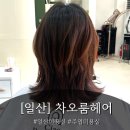 차오헤어 | [일산] 일산 미용실 클리닉 추천, 손상모 관리 후기 "차오룸헤어"