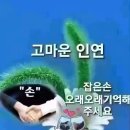 ~홍혜걸 감사인생~ 이미지