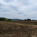 상모리-13 이미지