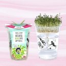 바보농장 이미지