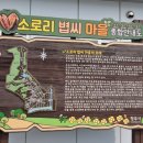 전의쌀상회
