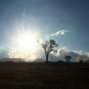 그린다목장 이미지