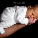 역삼싱글리빙텔