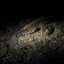 남해-246 이미지