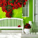 아라랏산.아라라트 산.아라랏. 이미지