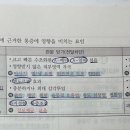 [2/3]_기본이론반_아동간호학_이론서2권 131p_관문통제이론의 지각과정(대뇌피질) 이미지