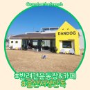 단독 dandog 이미지