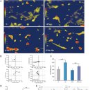 Re:Zinc enhances the cellular energy supply to improve cell motility and restore impaired energetic metabolism in a toxic environment induced by OTA 이미지