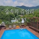 횡성펜션 숲속의쥬얼리 이미지