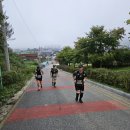쟈크앤느티나무 이미지
