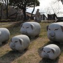청해바다