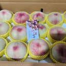 반디농원 이미지