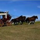 내고향 마차 이미지