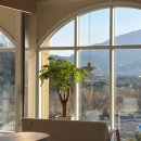 울산 울주 언양대리점 | [울산 울주 언양 대형 내돈내산 솔직후기, 반려견 동반 베이커리 카페