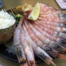 구*송