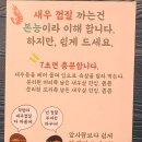 쉬림핀 네이버블로그